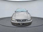 2004 Ford Mustang Standard