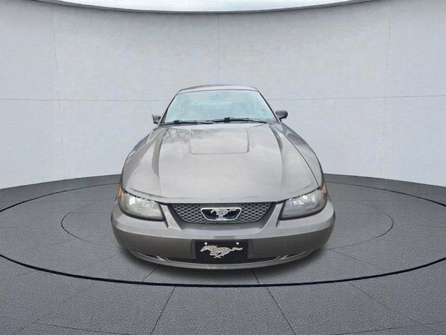 2004 Ford Mustang Standard