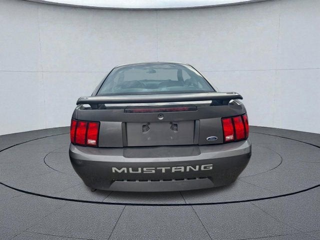2004 Ford Mustang Standard