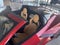 2022 Chevrolet Corvette Stingray 2LT