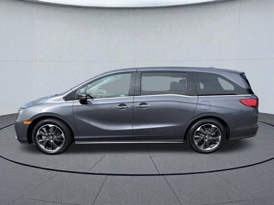 2024 Honda Odyssey Elite