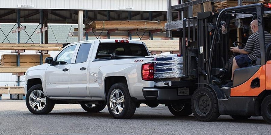 Business Elite Light Duty Truck